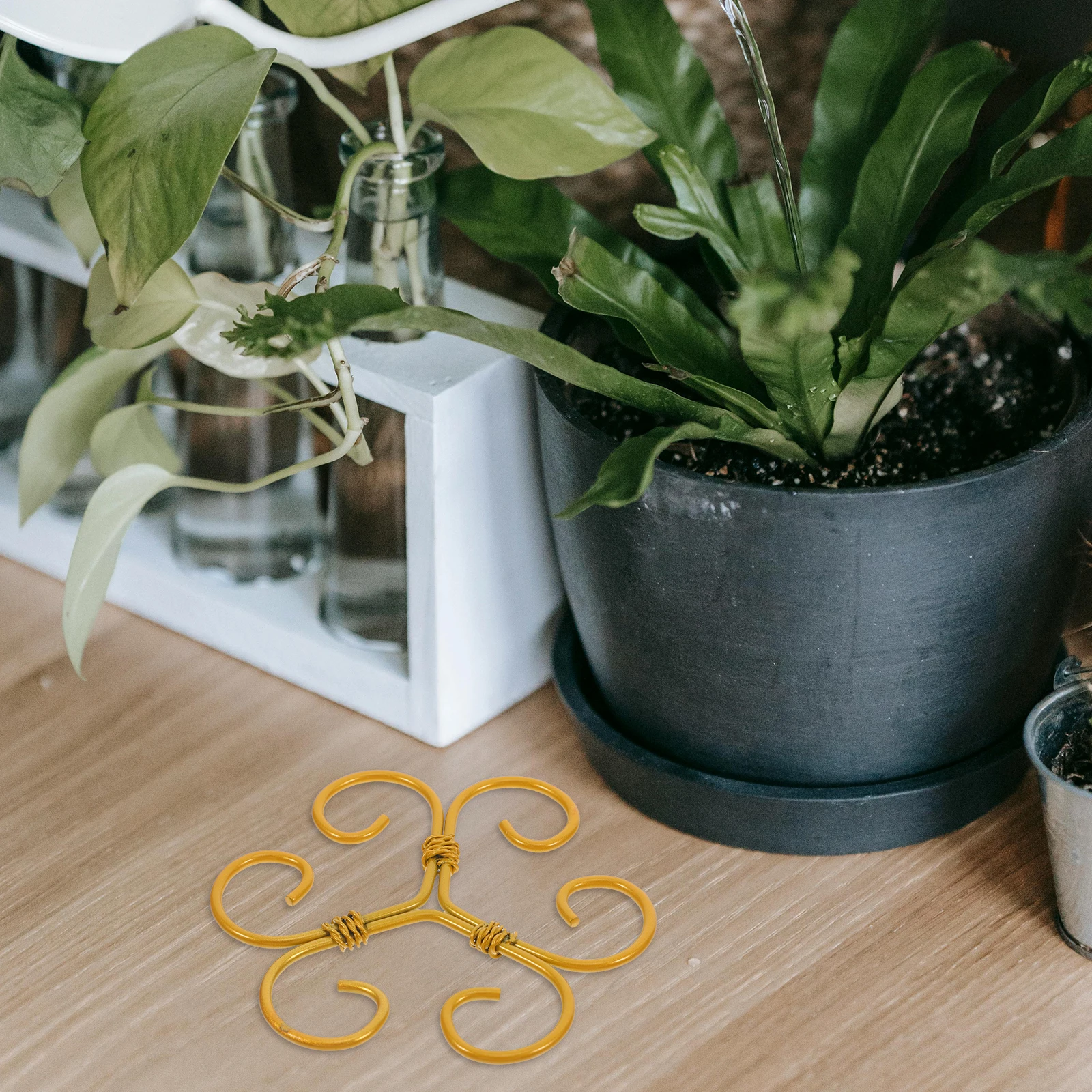 

Plant Support Frame Sturdy Iron Material Anti Fall Design Versatile Use Easy Installation Plant Stem Holder Set Climbers Garden