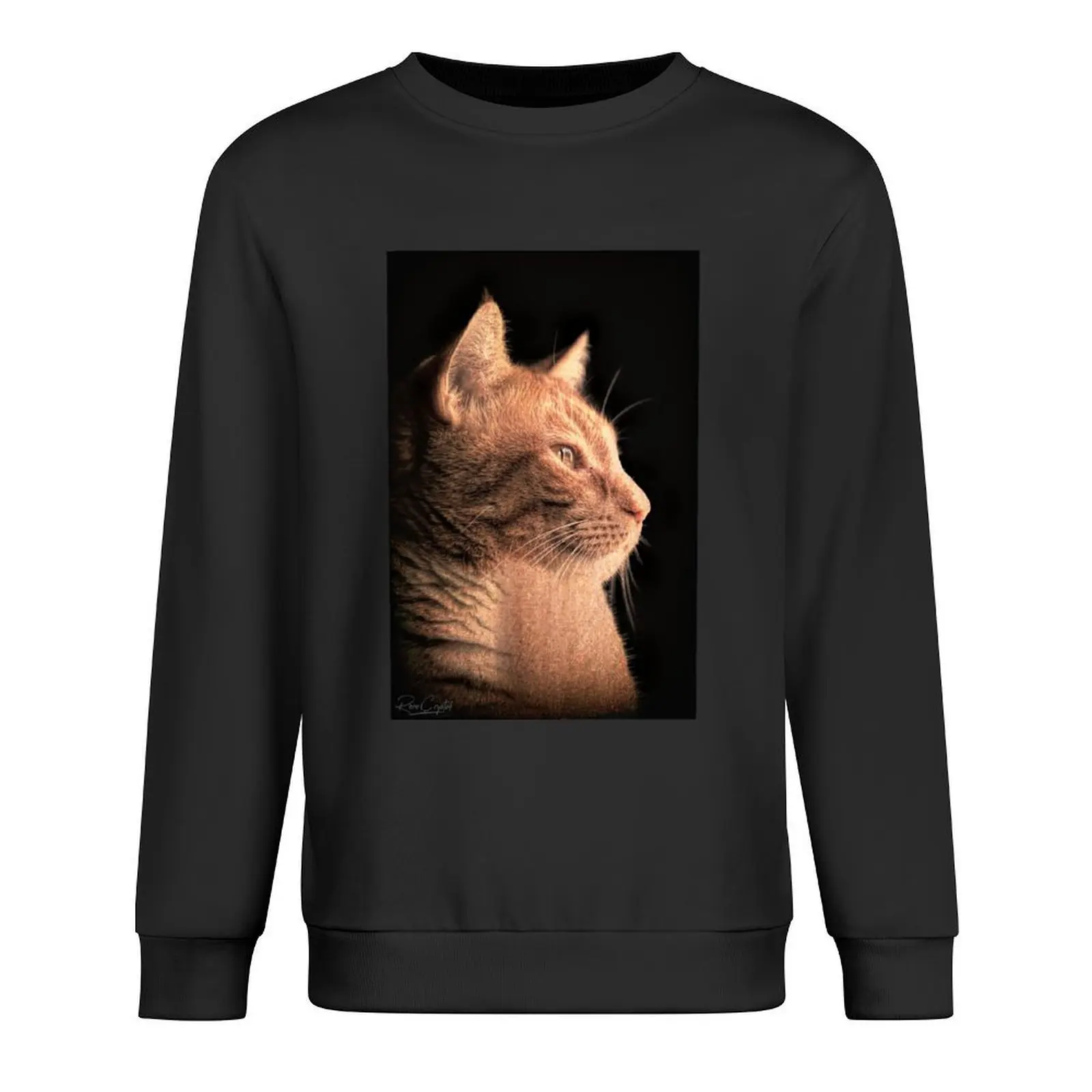 بلوفر هنري ذا مايتي ملابس على الطراز الكوري ملابس كورية على الطراز الياباني ملابس رجالي سويت شيرت