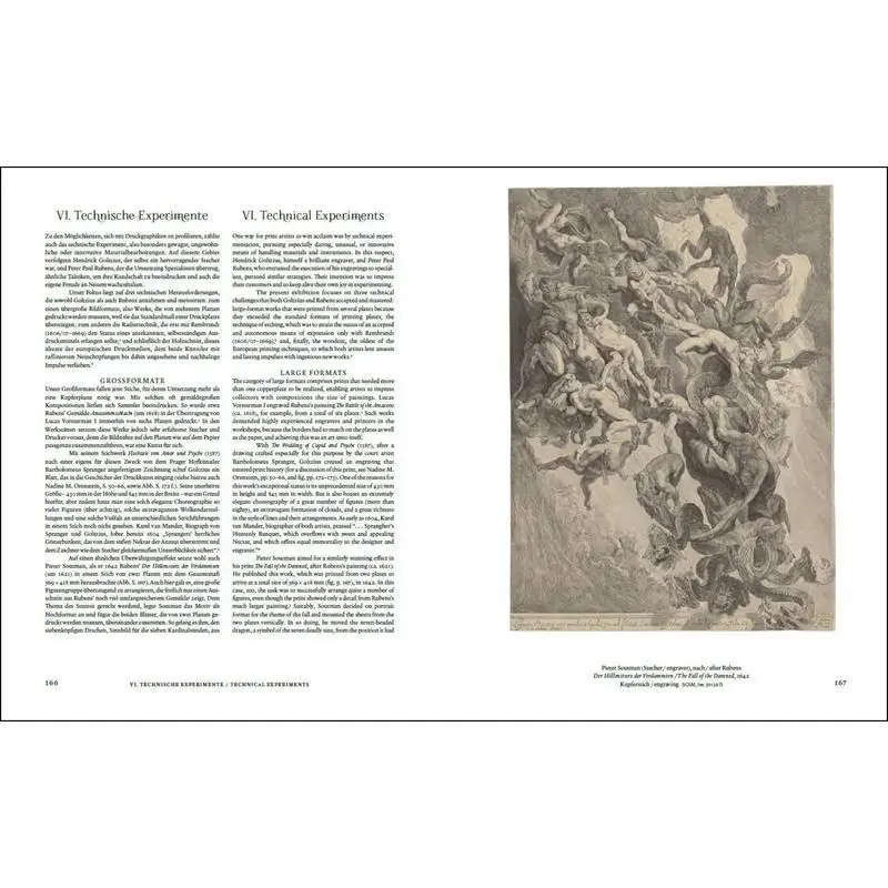 Карьеры по дизайну Hendrick Goltzius Peter Paul Rubens The National Graphic Collection Of Munich Hirmer 9783777443522 Книга