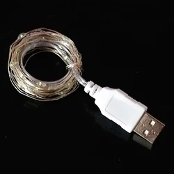 1M 2M 3M USB LED dize ışıkları bakır gümüş tel çelenk ışık su geçirmez peri ışıkları noel düğün partisi dekorasyon için