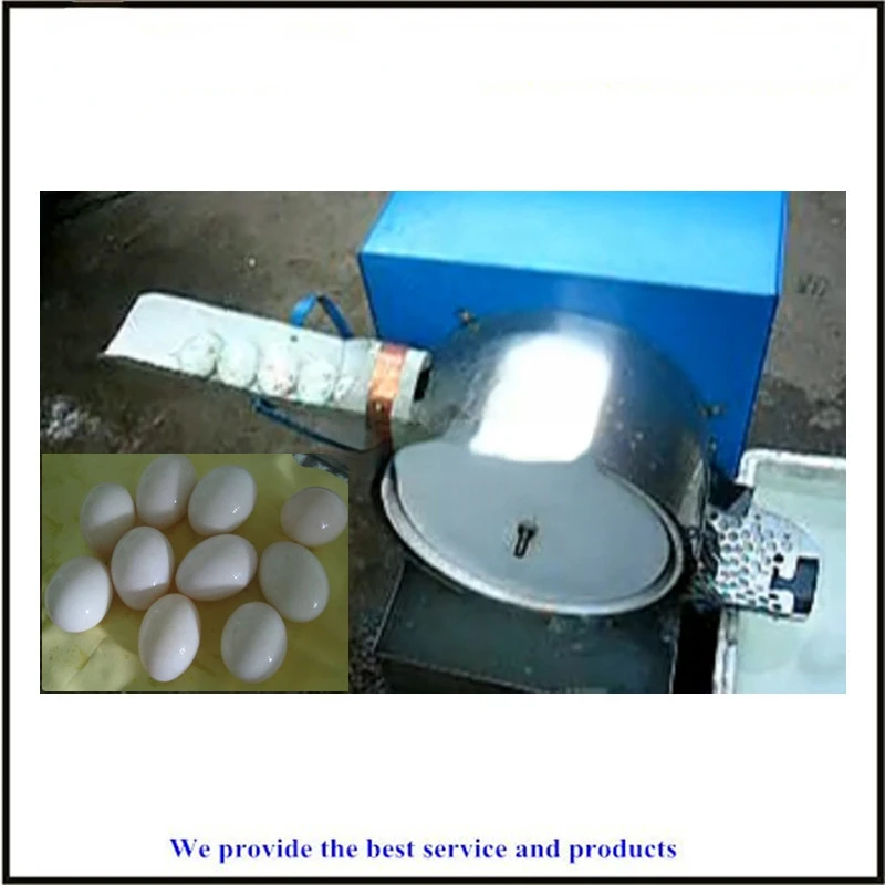 Reasonable Price Egg Cleaning Machine