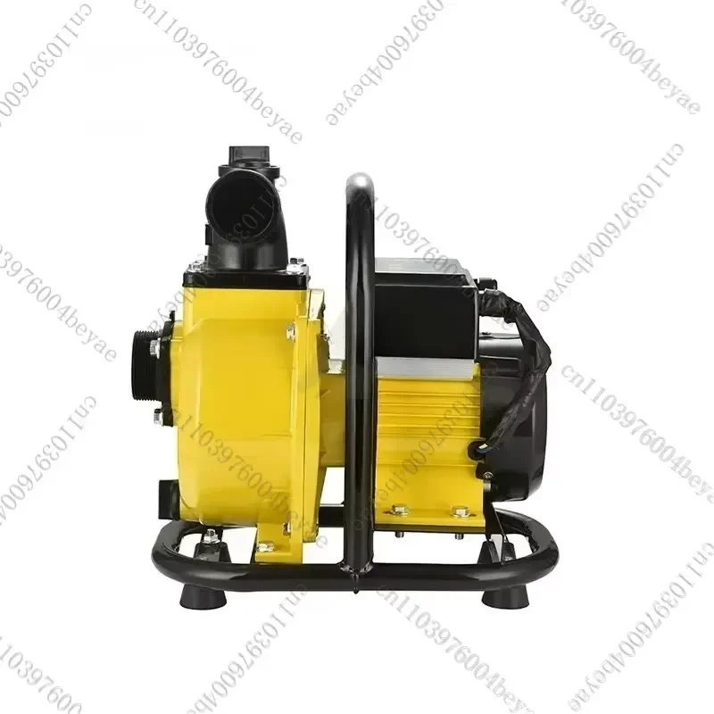 2-inch DC Brushless Solar Water Pump, Suitable for Agricultural Irrigation, with A Head of Up To 20 Meters and High Flow Rate