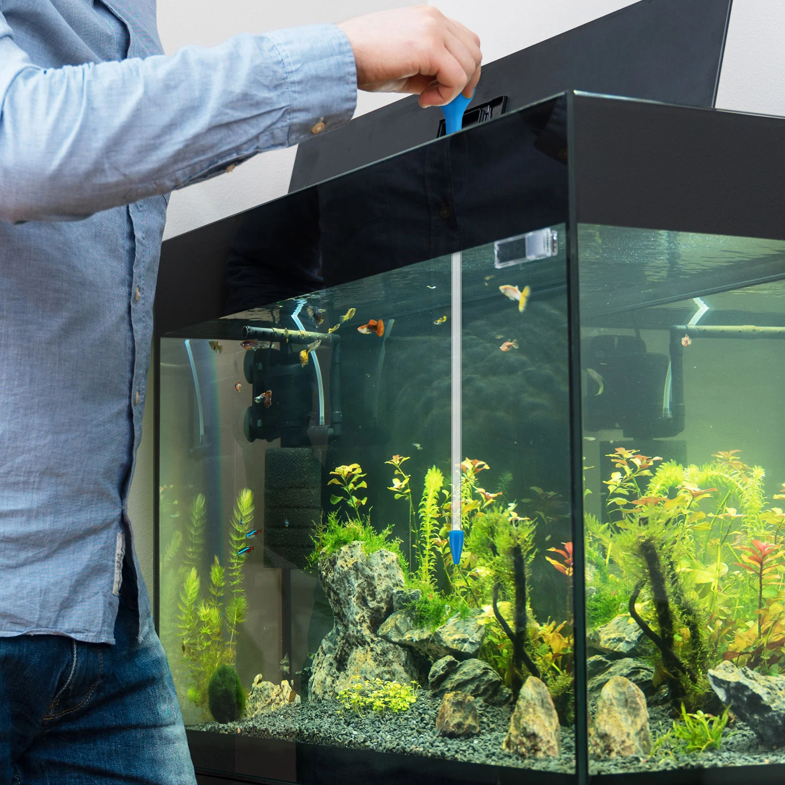 1pc Coral Feeder Tube Aquarium Coral Dispensing Feeder Long Acrylic Tube for Coral Feeding Coral Feeding Tube