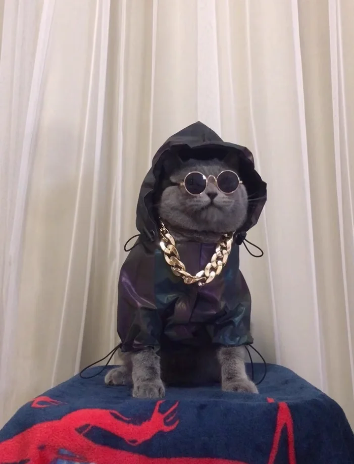 Reflective Design Outdoor Windproof Rainproof Dog Coat For Large Dogs Raincoat