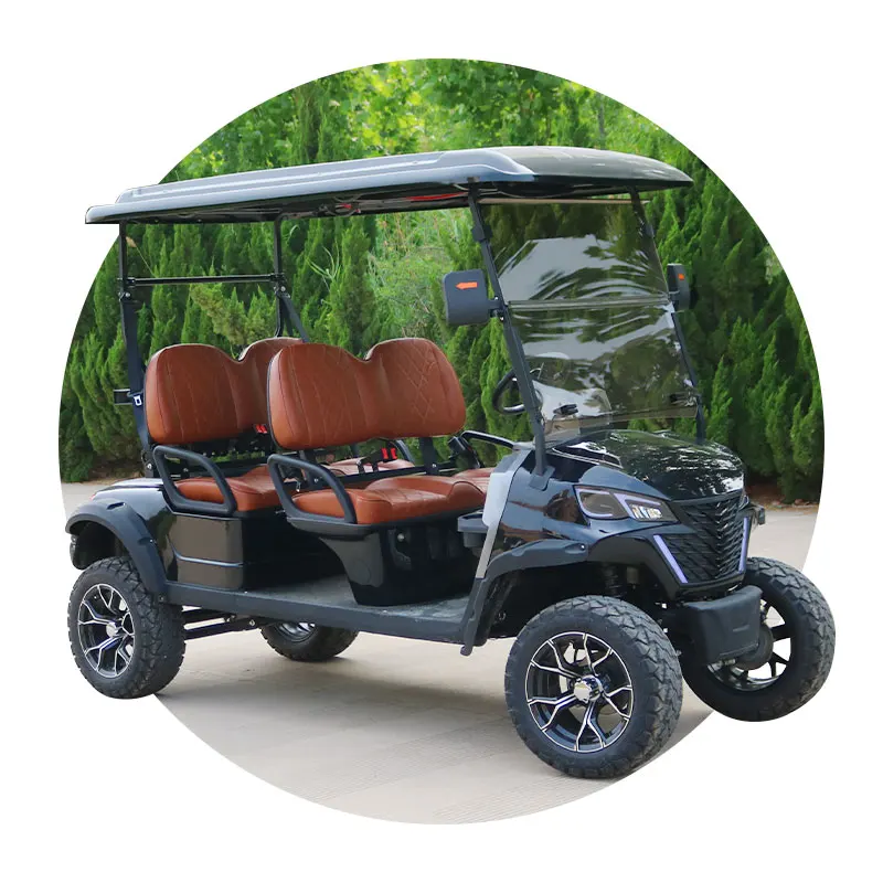 Electric Golf Scooter Golf Cart with Curtis Controller Electric Golf Cart