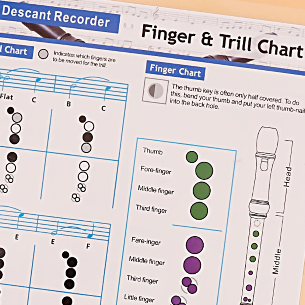 

Recorder Chart Bass Clarinet Chord Poster Flute Practicing Supplies Coated Paper Durable Clear Printing Workmanship