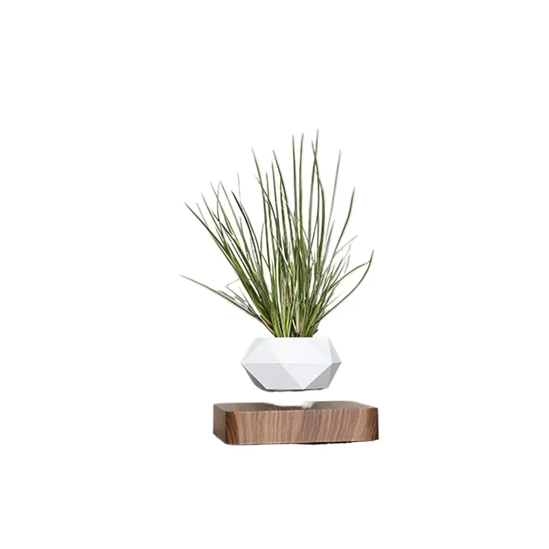 Creative flower pot maglev potted plant,plant suspended in the air, creative ornament of living room company
