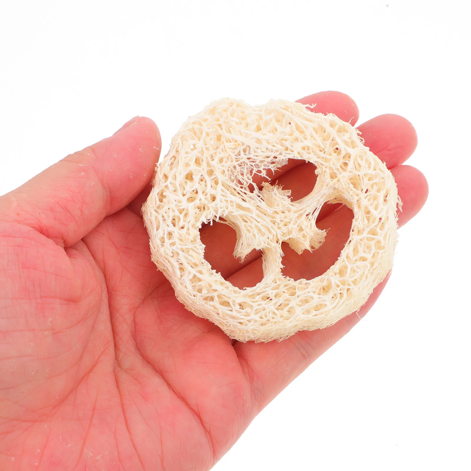 

5pcs Loofah Bath Brush Sponge Soap Holder Body Scrubber Washing Indoor Strong Water Absorbing Natural Shape Creative