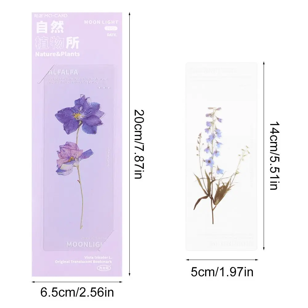 5Pcs/Set Nature Plants Flower Ins Style Bookmarks Card Translucent Flower Book Note Marker Page Holder PET Reading Bookmarks