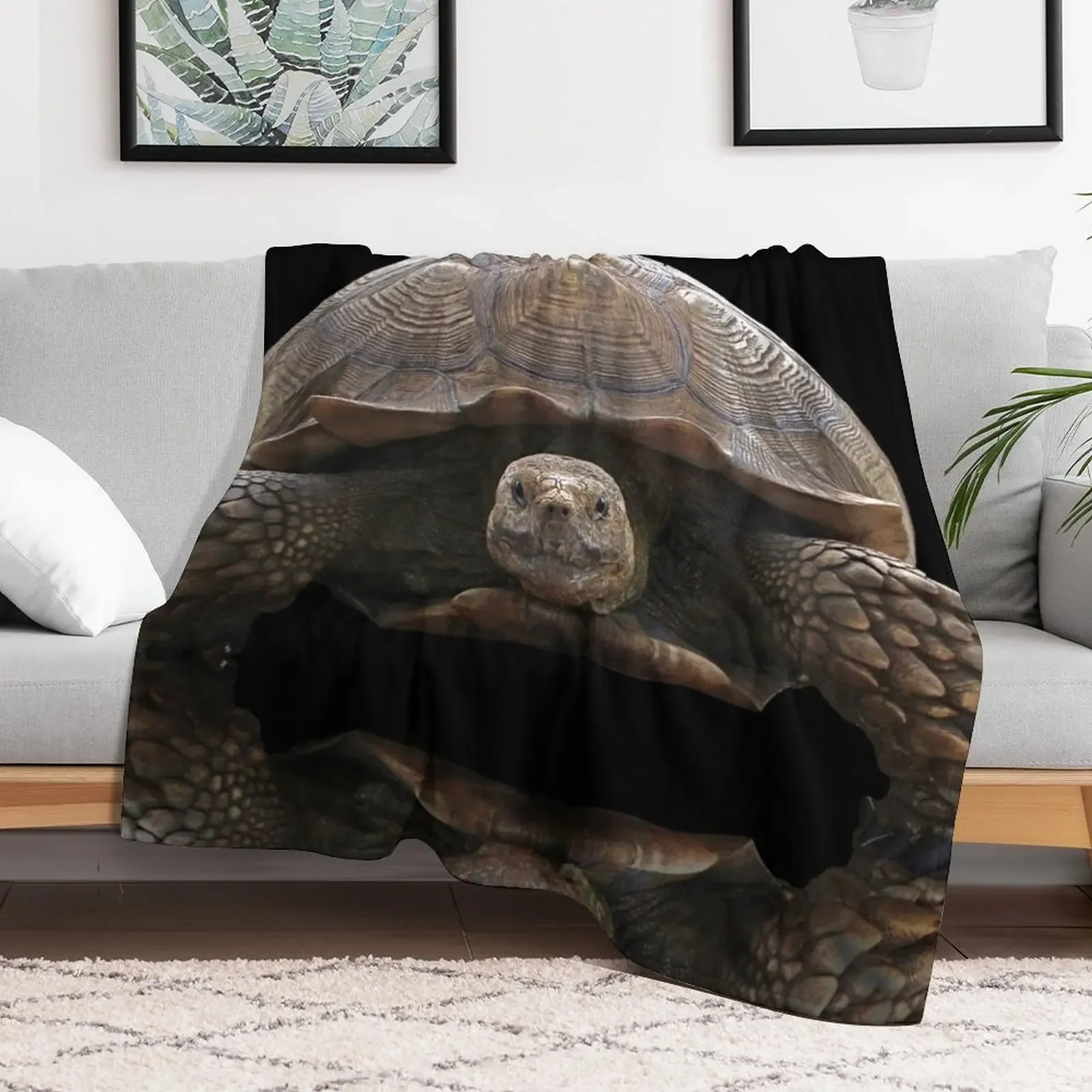 Sulcata Tortoise with Reflection Throw Blanket Hairys Bed Blankets