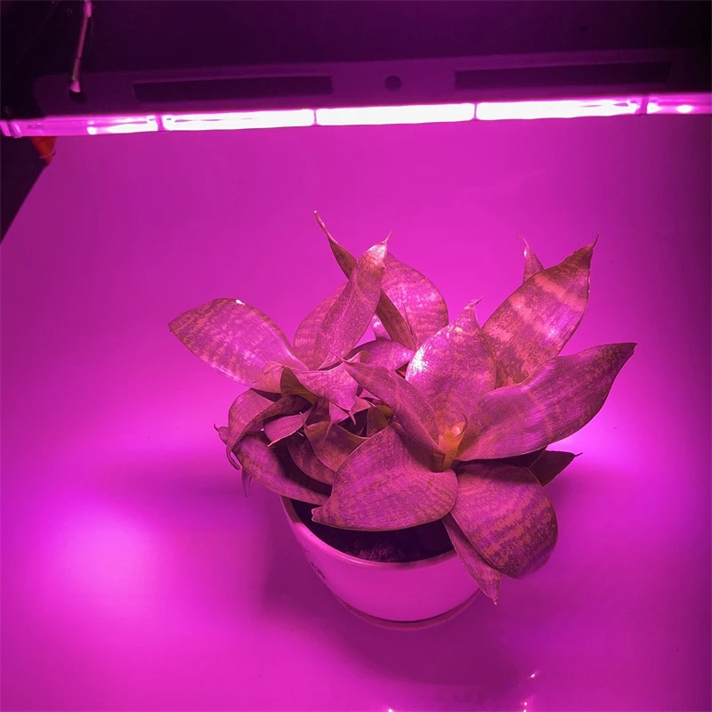 Spettro completo LED coltiva la luce Phytolamp per piante tenda fiore semina gamma lampada proiettore esterno