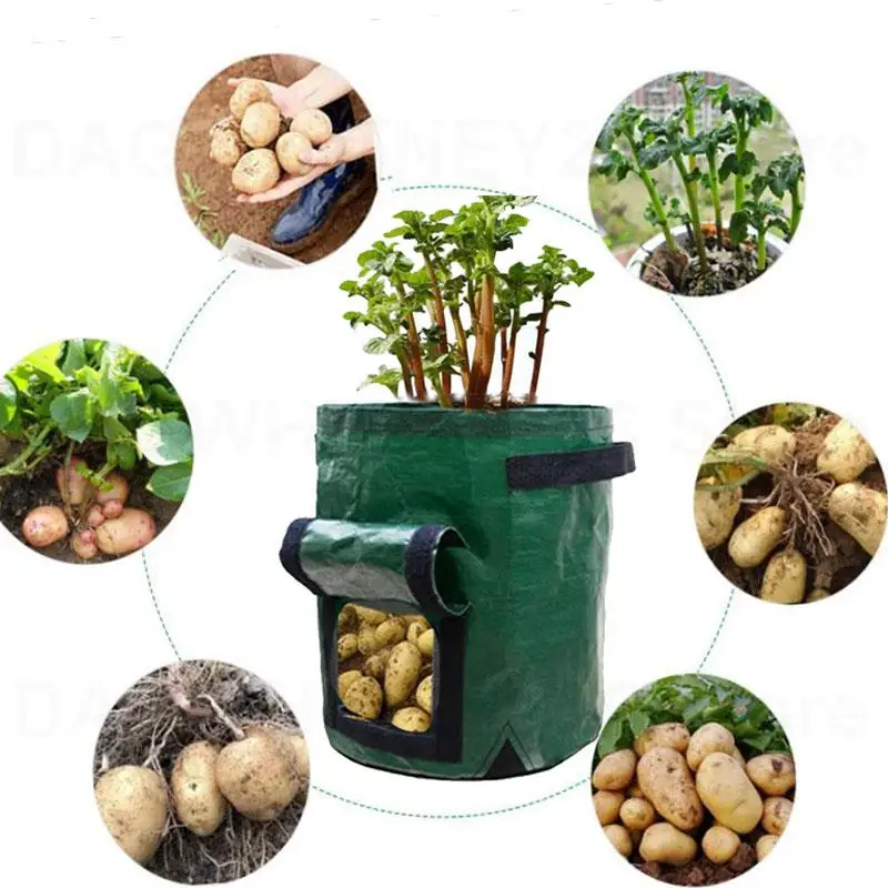 PE Planter Bag Potato Grown Bags Wall Vertical Garden Hanging Flower Vegetable Plants Pouch Pockets Garden Supplies