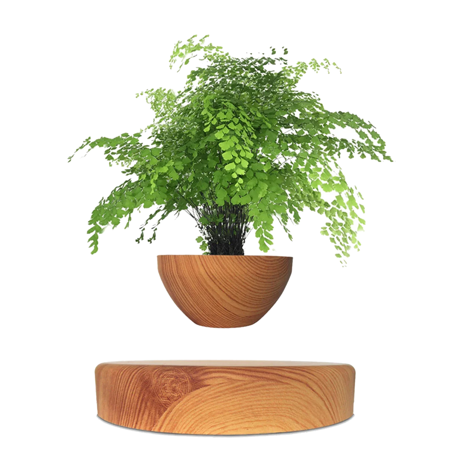 Fancy Gift Magnetic Levitating Bonsai Creative Pot For Flower Plant Bedroom Hotel Desk Decorative Floating Plant Pot