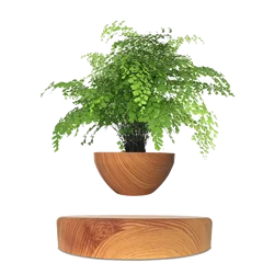 Fancy Gift Magnetic Levitating Bonsai Creative Pot For Flower Plant Bedroom Hotel Desk Decorative Floating Plant Pot