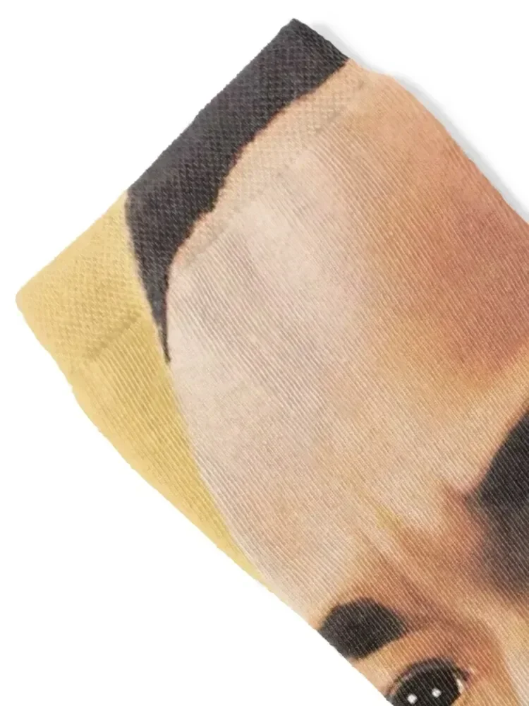 mlk jr Socks Non-slip winter gifts Soccer Women's Socks Men's