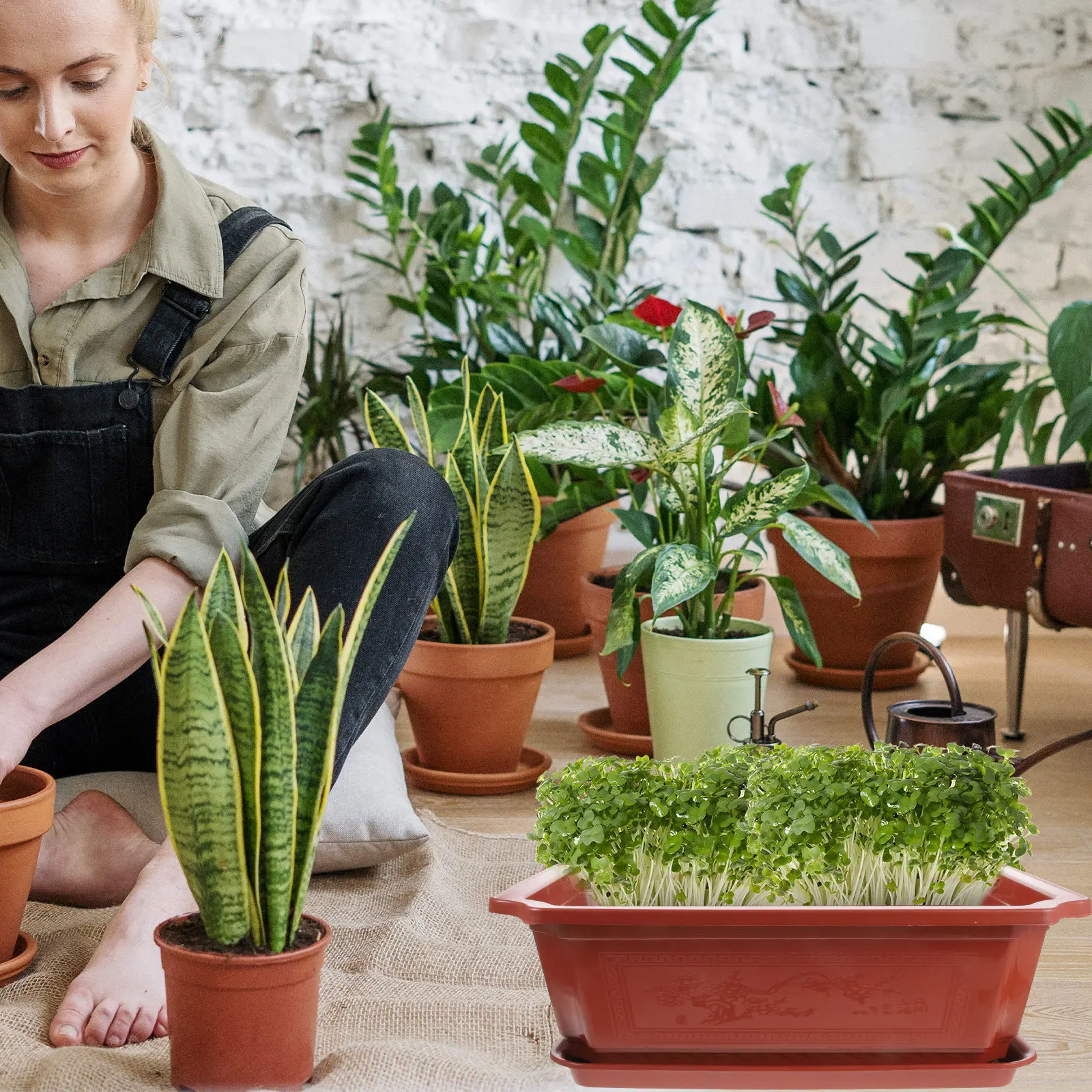 

Большой эллиптический пластиковый многоразовый горшок для бонсай, контейнер для садовых и комнатных растений, цветочный горшок для бонсай