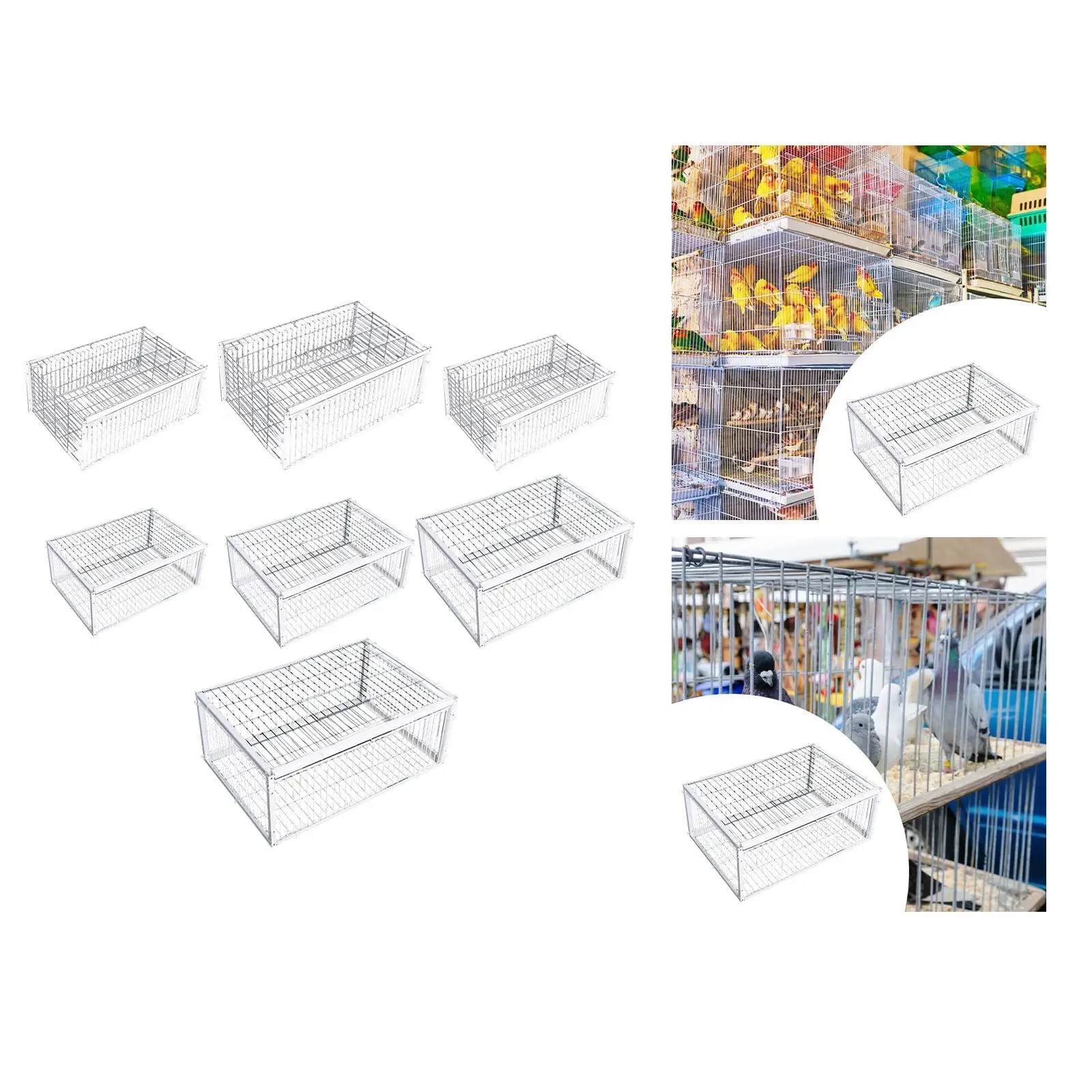 Pigeon Trap Cage Portable Single Way Entry Door for Orchards Chicken Gardens