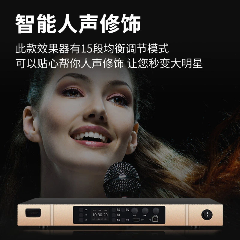 Professional karaoke reverberators, front-end effects, household use