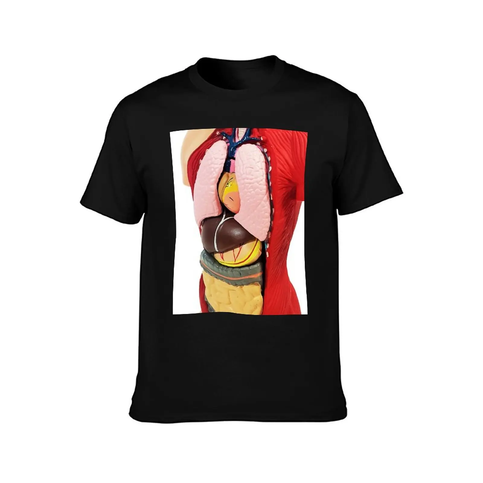 Human Torso Anatomy Model T-Shirt Lightweight Hiking T-Shirt