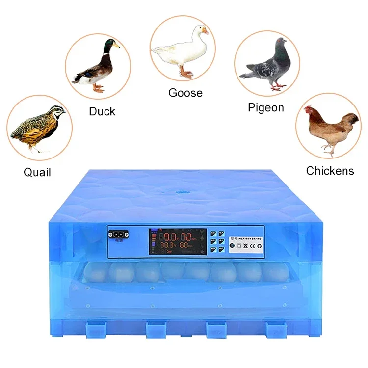 64 Egg Single Power Supply Monolayer Home Use Small Chicken Hatching Machine Automatic Chicken Egg Hatcher Incubator And Hatcher