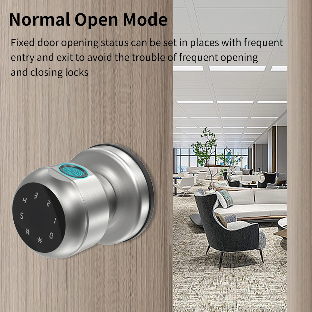 Tuya Smart Aluminum Alloy Globular Door Knobs Lock Rotation Knobset Handle Metal Knob Lock With Key App For Bedroom Living Rooms