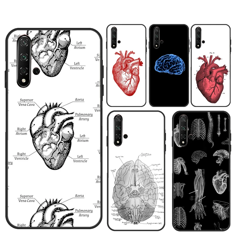 خمر القلب التشريحي الدماغ لهواوي نوفا Y70 Y90 Y60 Y61 Y91 Y72 9 10 SE 12i 12s 11i 5T P60 Pro P20 P30 P40 لايت