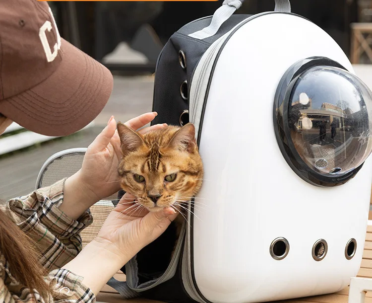 

Portable For Going Out Cat Dog Backpack Bag