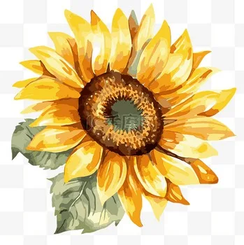 

4pcs 117mm 1/8 RC Off-Road Buggy Tires Wheel 17mm Hex for ARRMA Typhon Talion Redcat Team Losi Kyosho HPI WR8 HSP RC Car