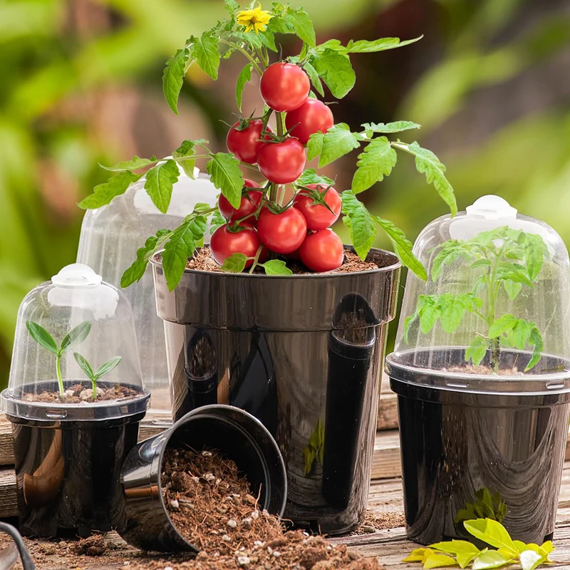 Vasi per Piante da Vivaio, Fio - Bonsai Garden Nursery recensione e prezzo