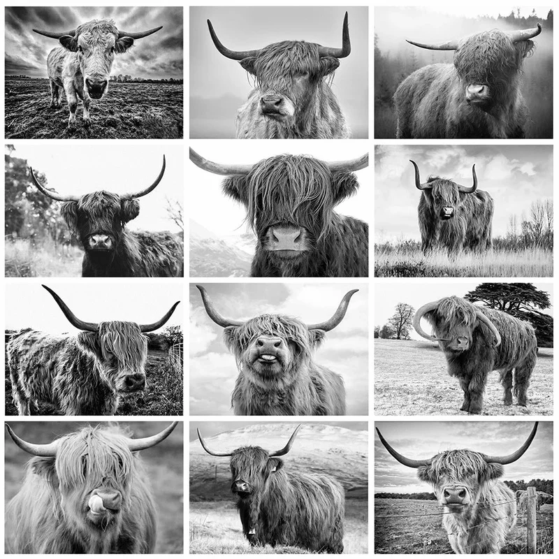 

Скандинавский стиль Highland Cow Black White животные печать художественный постер на холсте для гостиной Декор домашняя Настенная картина