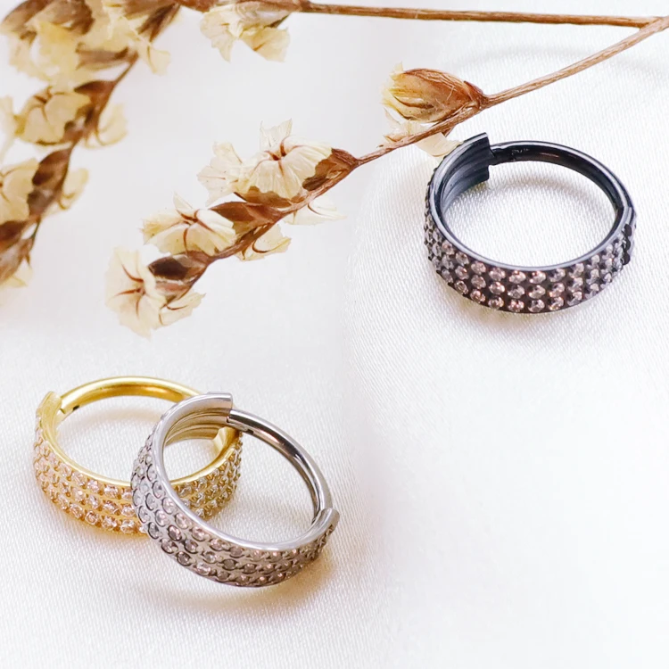 Women's Titanium ZC Nose Rings & Hinged Segment Earrings, Versatile