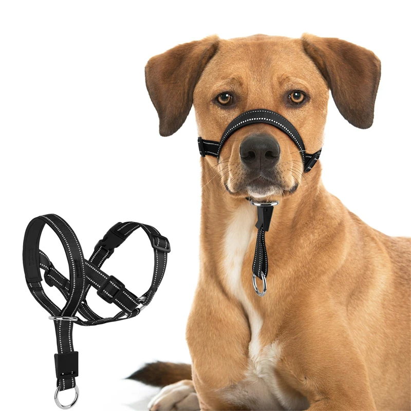 Pet Safe Gentle Leader No-Pull Dog Head Collar, Regain Control, Ultimate Solution to Pulling, Repairs Dog\'s for Easier Walks