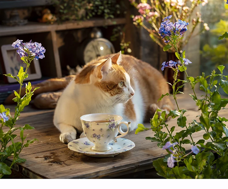 1 قطعة 220 مللي كوب قهوة شاي بعد الظهر الإنجليزي ، كوب شاي أحمر رائع للسيدات ، أكواب وأطباق سيراميك