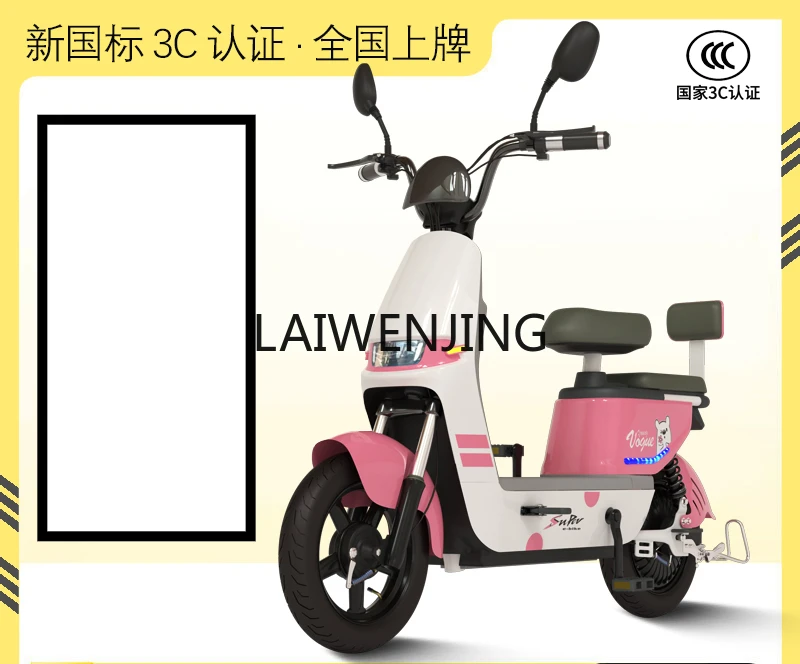 LYN new national standard electric vehicle small two-wheeled transportation power battery car