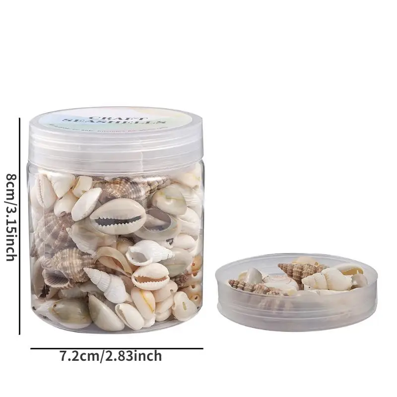 1 Box Gemischte Meeresmuscheln Ozean Strand Spiralmuscheln Bastelbedarf für Heimdekoration Party Kerzenherstellung Hochzeit DIY Aquarium