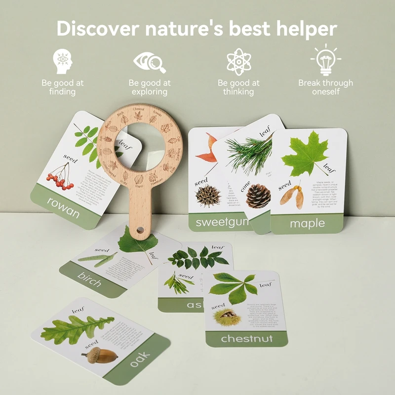 Children's Montessori Wisdom Toys Children's Outdoor Adventure Kits Wooden Leaf Cognitive Magnifying Glasses Children's Gifts