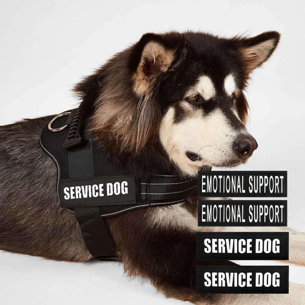 Reflektierendes Hundegeschirr, Weste, Aufnäher, ID, individuell, ohne Ziehen, atmungsaktiv, verstellbar, Haustiergeschirr für Hunde, Outdoor-Walking, Hundebedarf – Detail 34