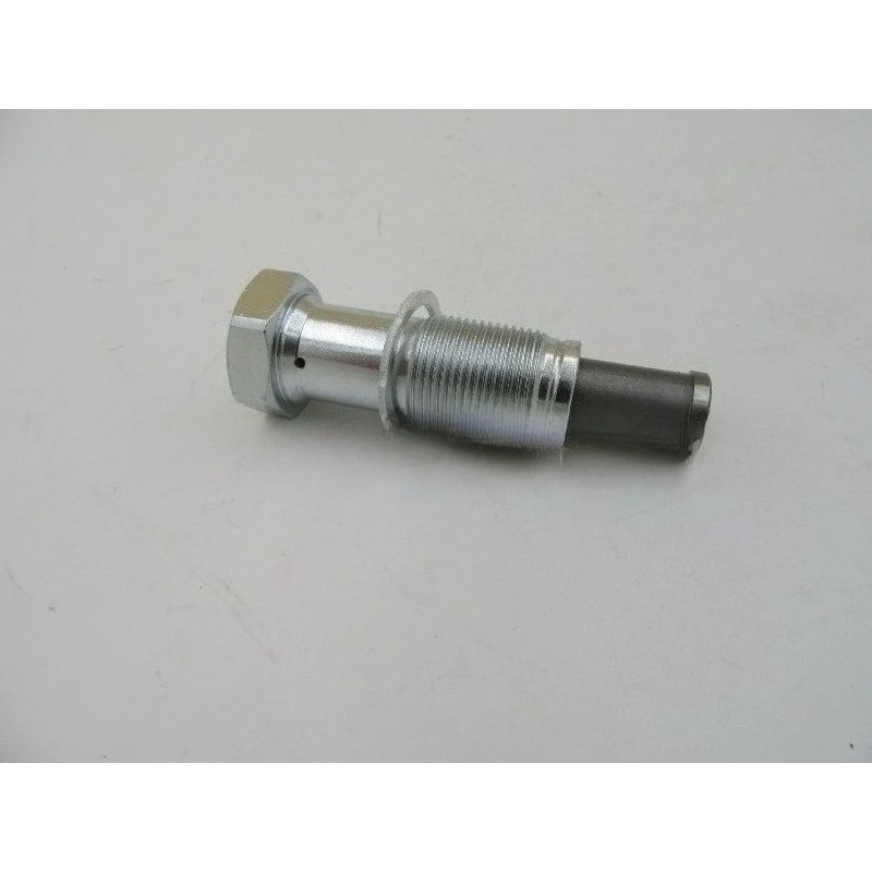11317601809 Timing Tnsioner Screw For BMW 1 3 Mini For Peugeot 207 308 For Citroen C4 C3 DS5 11314609483