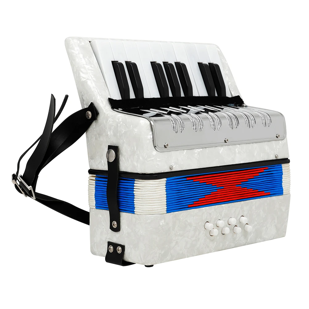 

Accordion Instrument Student Practice Educational Plaything Musical Profession