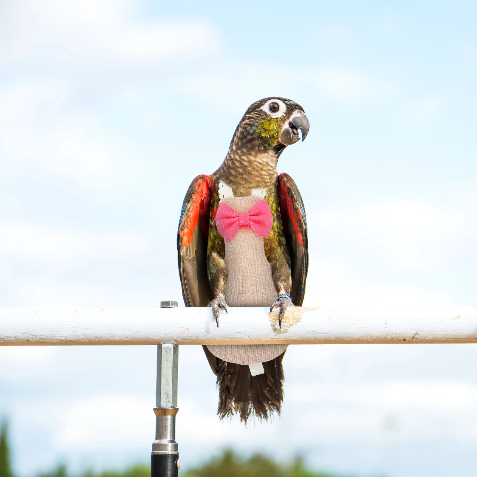 

Parrot Diaper Clothes Washable Reusable Flight Suit Nappies for Pet Birds Cotton Cloth One Size Fits Most Parrots Cockatoos Bird