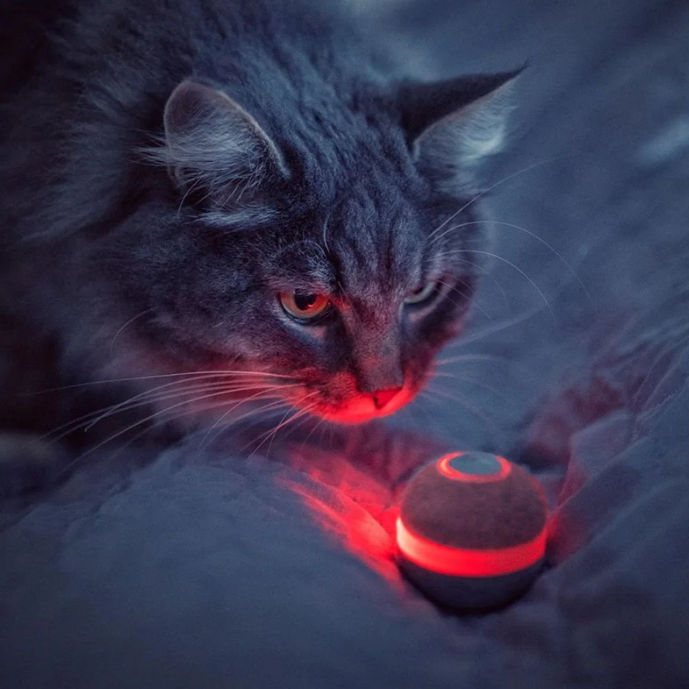 

Eco Friendly Electronic Moving Cat Automatic Pet Toy Interactive Electric Ball