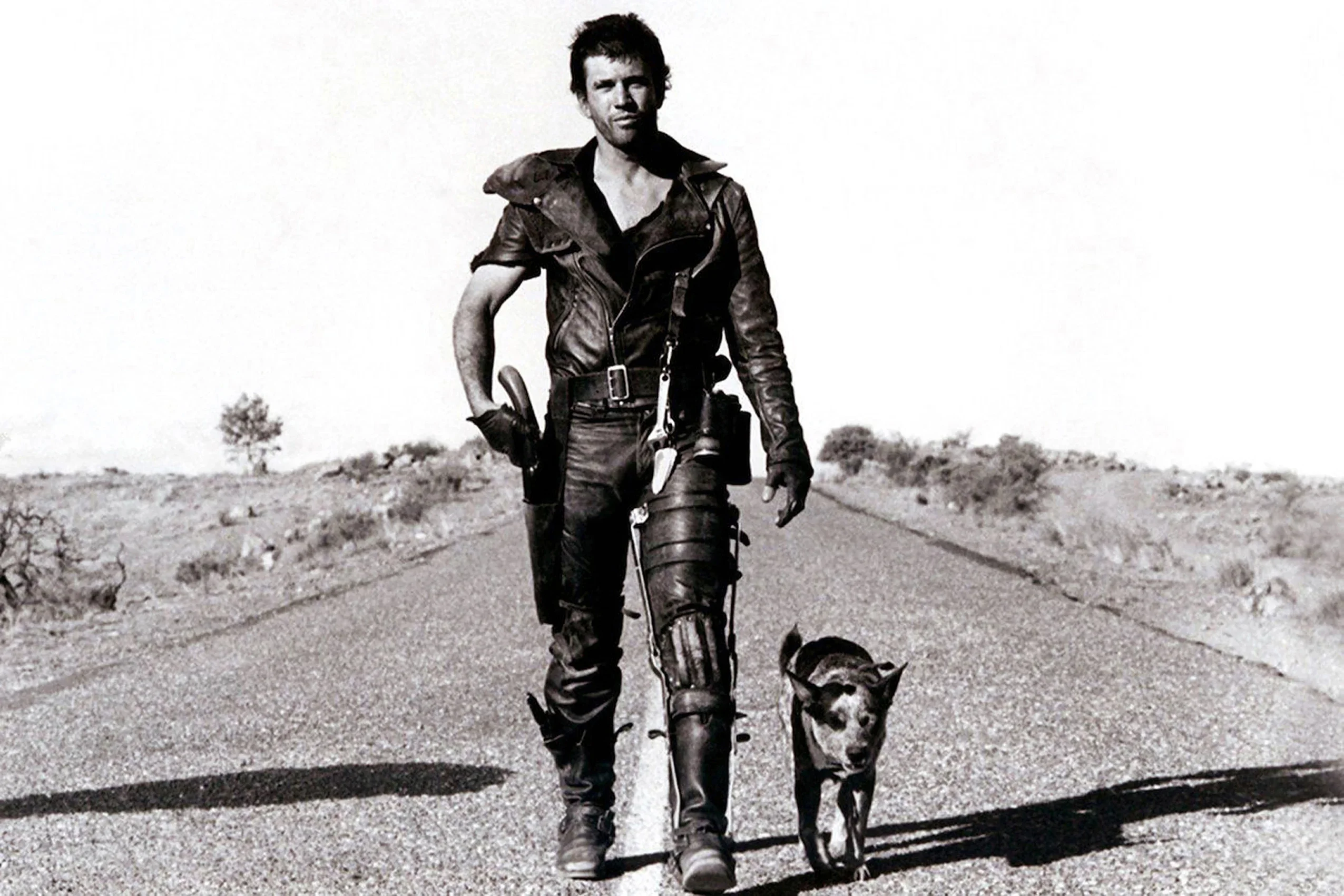 Mad Max Road Dog Poster, Old Vintage Movie Print Art, Canvas Poster for Living Room Decor, Home Wall Picture