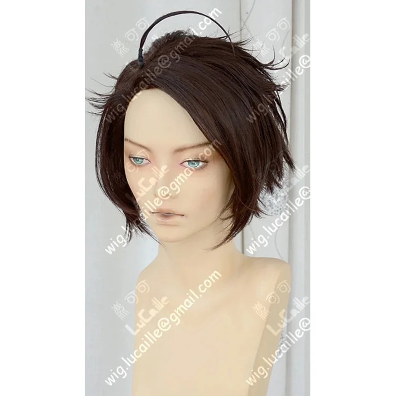 LQAxis Powers Hetalia Austria Roderich Edelstein Short Coffee Brown Styled Heat Resistant Hair Cosplay Costume Wig + Free Wig Ca