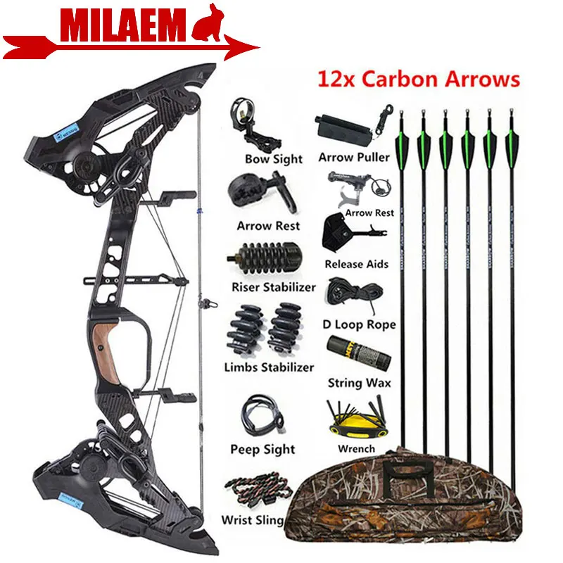 

Archery Compound Bow and Arrow Set 21.5Lbs-60Lbs Adjustable Carbon Arrow 500 Spine Steel Ball Bow Hunting Shooting Accessories