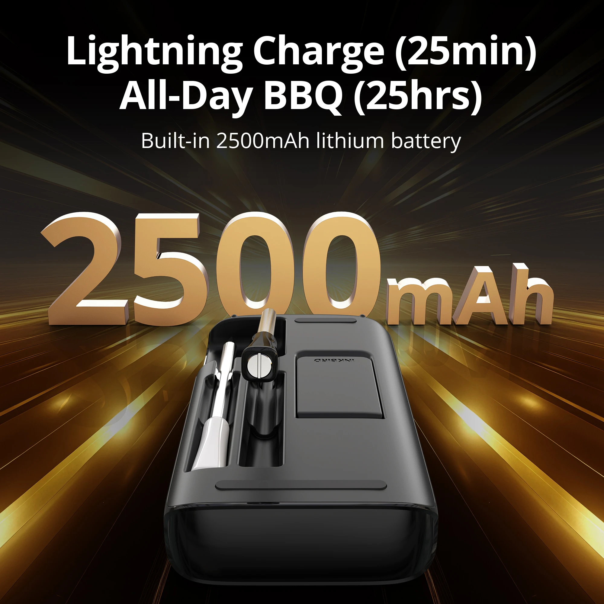 インクバード INT-12E-BW ワイヤレス肉用温度計、WiFi 5G&Bluetooth 5.4、5センサー、25時間バッテリー、IP67、CNAS認証済み（グリル/オーブン用）