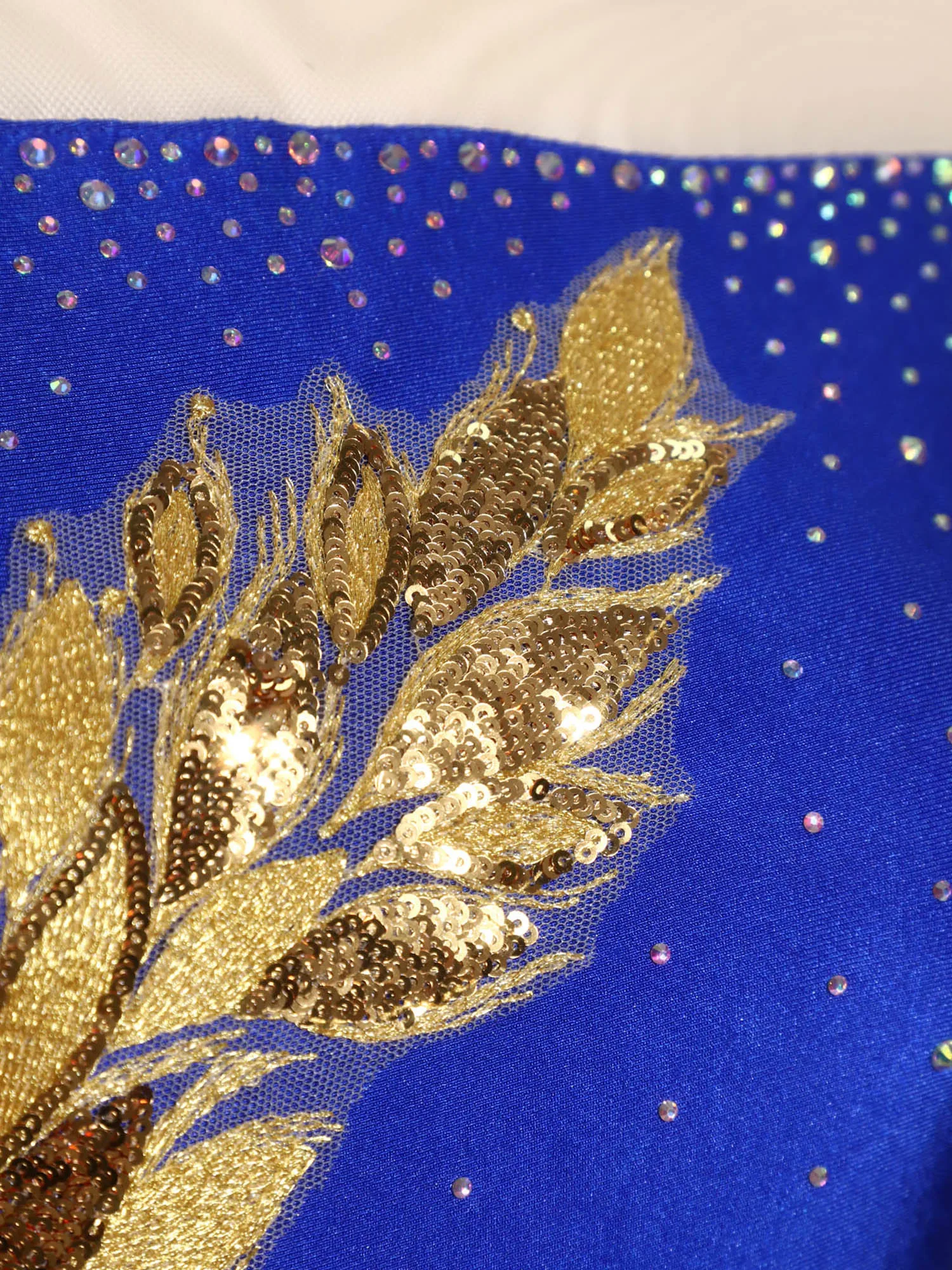 المرأة المهنية الصف الباليه اللاتينية ملابس رقص المطرزة زين الراين يوتار فستان لشخصية التزلج على الجليد الرقص