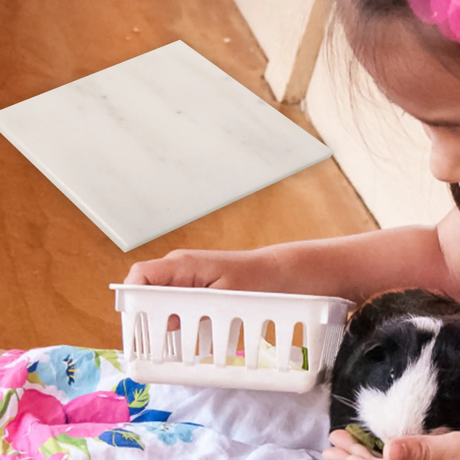 

Охлаждающий коврик для животных с мраморной поверхностью, охлаждающая доска для мелких животных: кроликов, ежей, рептилий. Портативное решение для летнего комфорта.