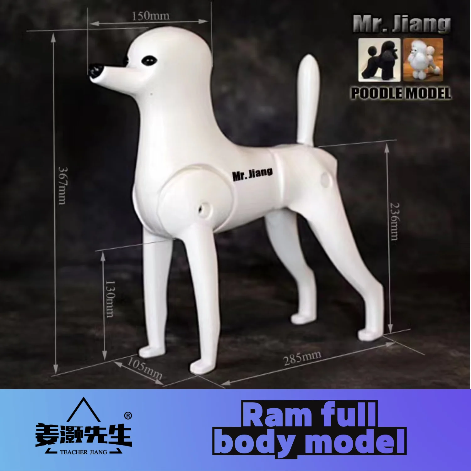 Mr.jiang  modle model Pet Teacher Beauty Modeling Practice Dog Model Standard Skeleton Model Dog Whole Body Fake Hair