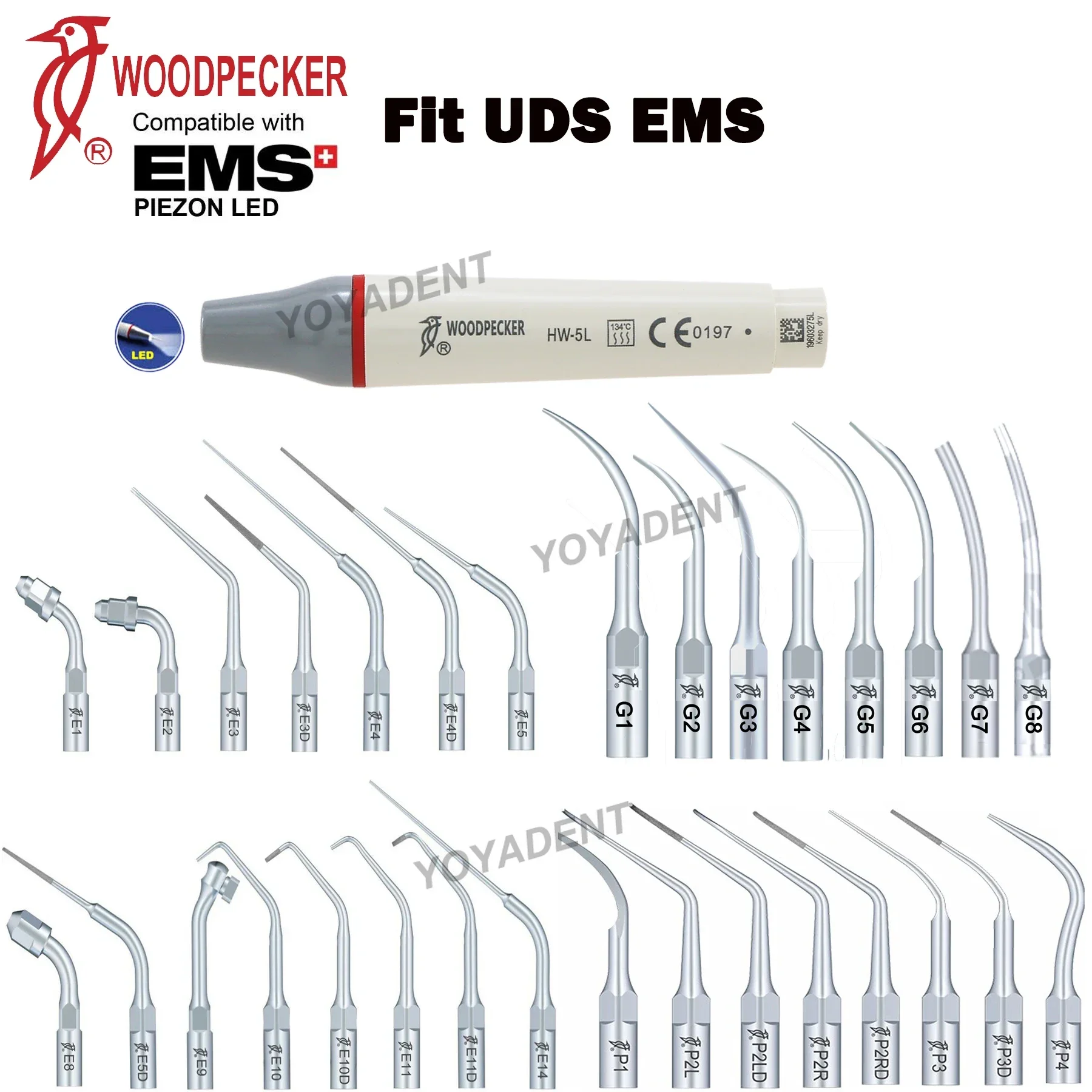 Woodpecker Dental Ultrasonic Piezo Scaler Handpiece LED HW-5L Scaling Tips Fit UDS EMS Ultrasonic Scaler Dental Tools