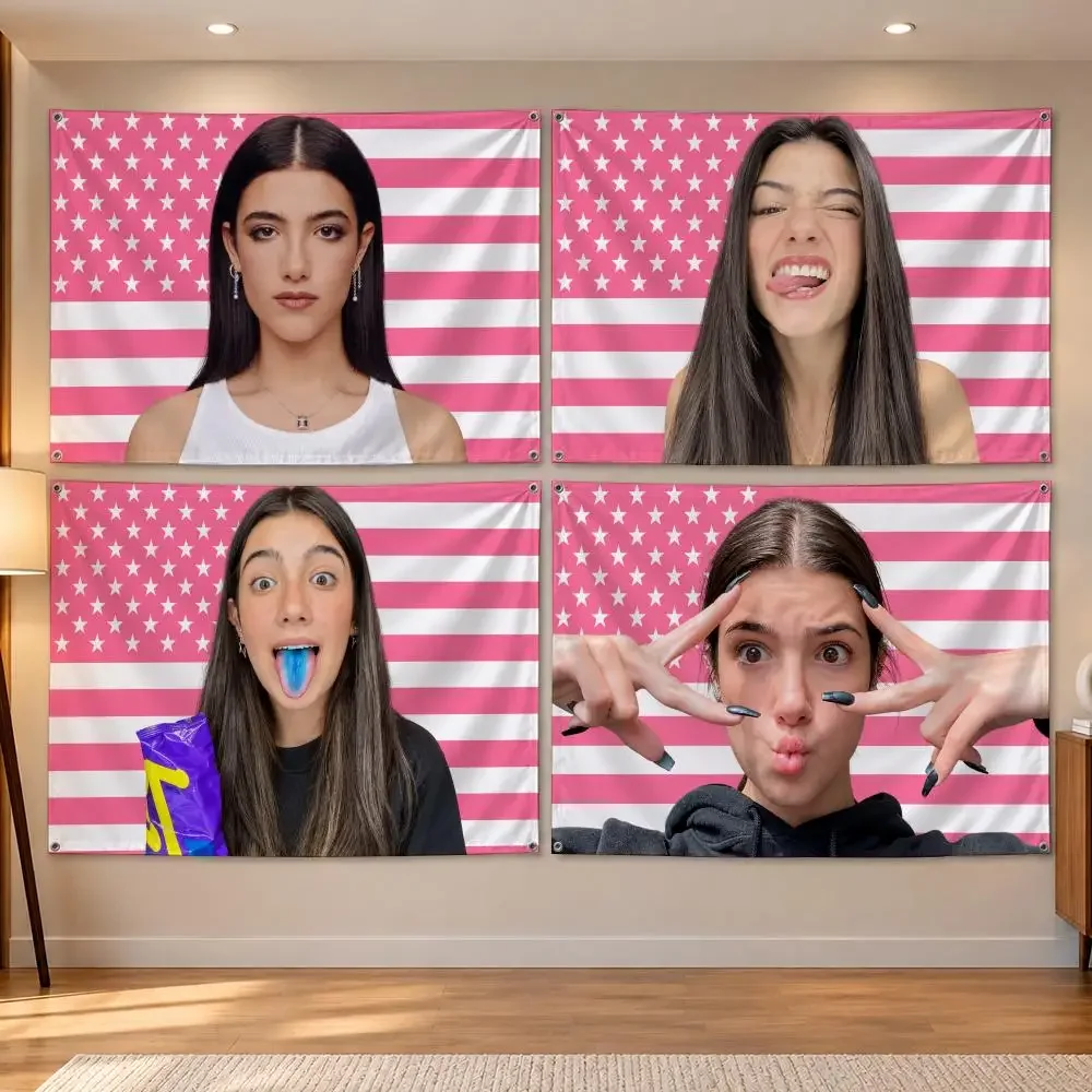 Influencer C-Charli D Amelio Flags Banner Decor for Bedroom,Garden,Party,Club,Indoor Outdoor, Fan Gift